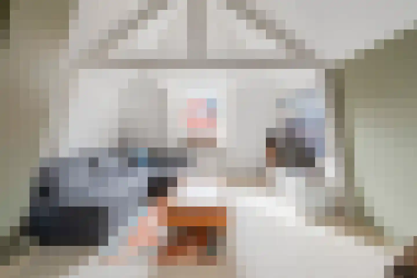 Schouwtjeslaan 5 Haarlem thumbnail 33