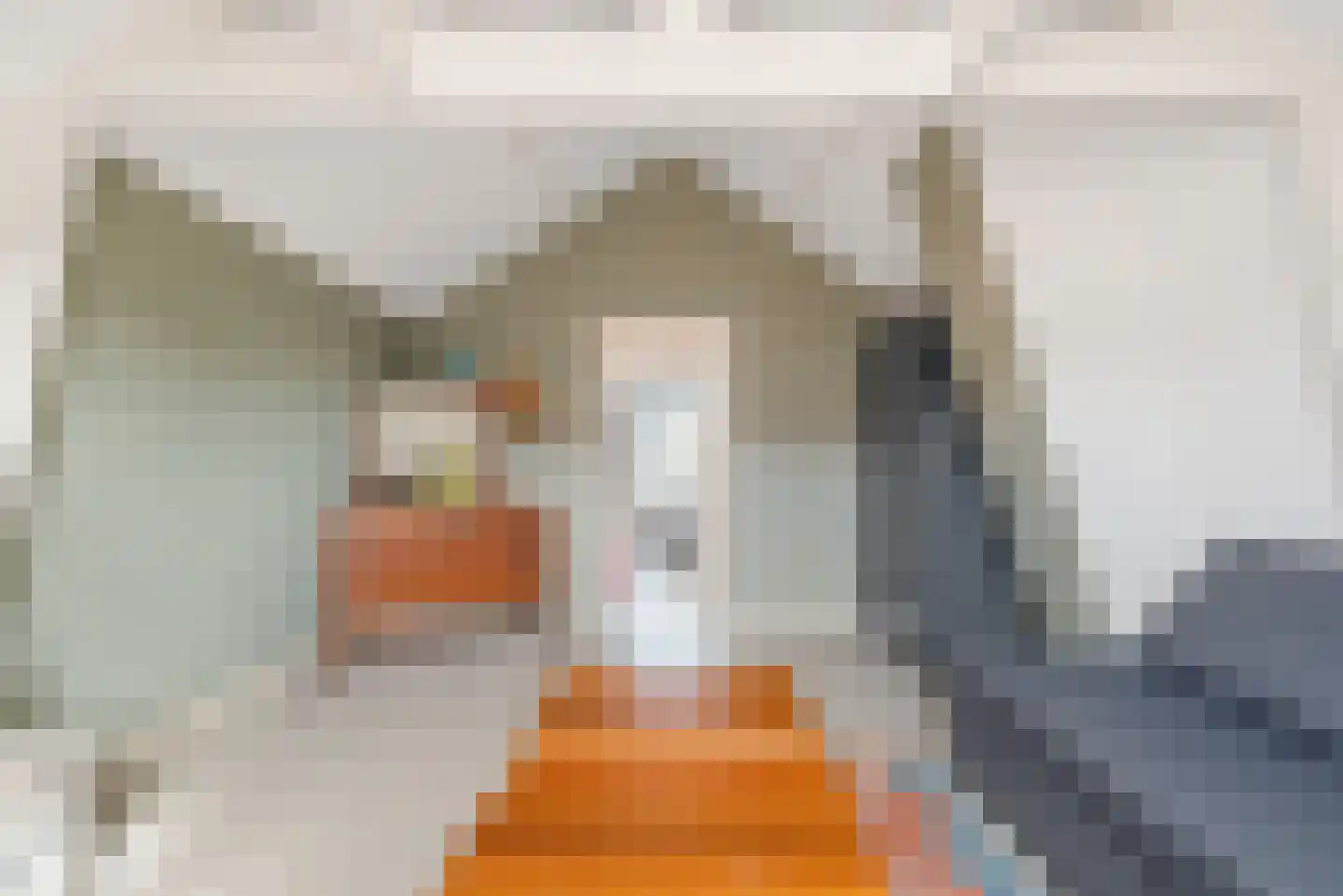 Schouwtjeslaan 5 Haarlem thumbnail 35