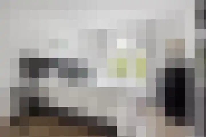 Schouwtjeslaan 67 A Haarlem thumbnail 11
