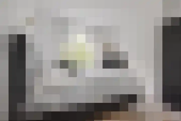 Schouwtjeslaan 67 A Haarlem thumbnail 12