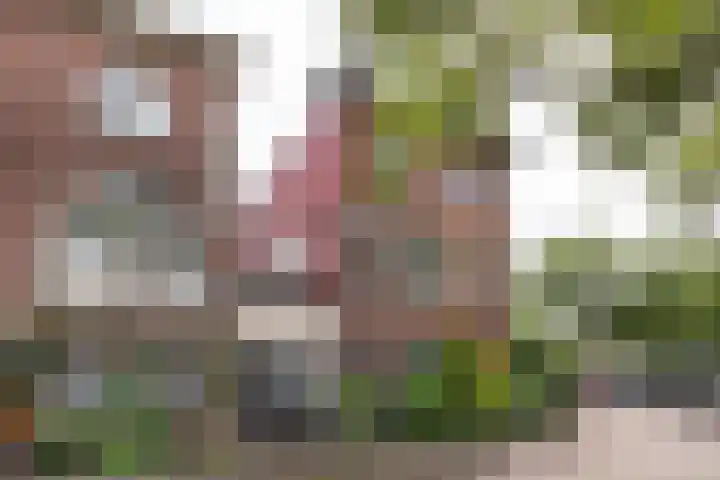 Schouwtjeslaan 67 A Haarlem thumbnail 23