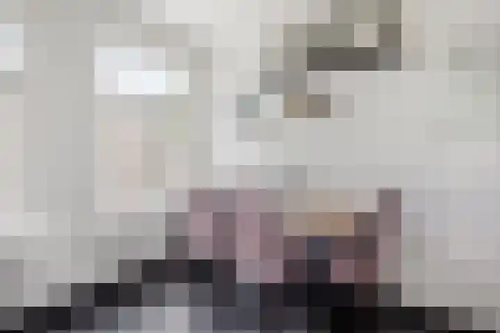 Schouwtjeslaan 67 A Haarlem thumbnail 9