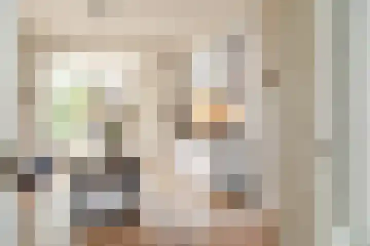 Schouwtjeslaan 72 Haarlem thumbnail 10