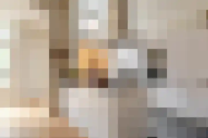Schouwtjeslaan 72 Haarlem thumbnail 15