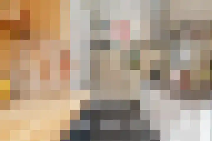 Schouwtjeslaan 72 Haarlem thumbnail 16