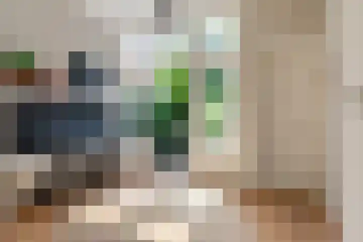 Schouwtjeslaan 72 Haarlem thumbnail 18