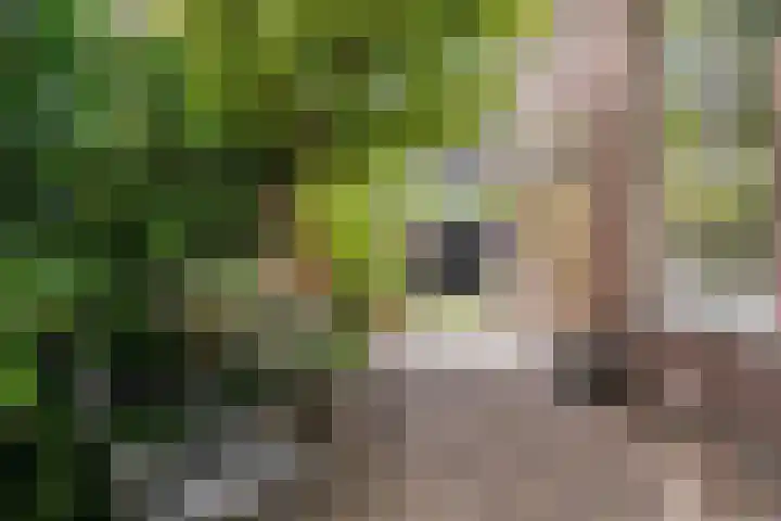 Schouwtjeslaan 72 Haarlem thumbnail 28