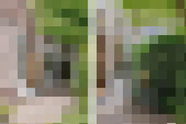 Schouwtjeslaan 72 Haarlem thumbnail 30