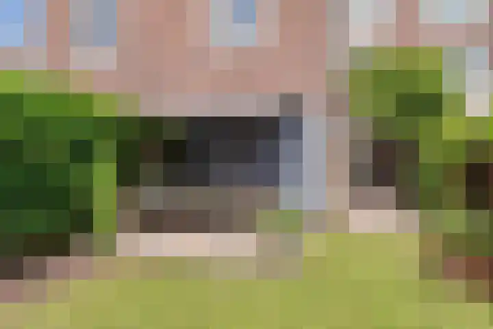 Schouwtjeslaan 72 Haarlem thumbnail 32