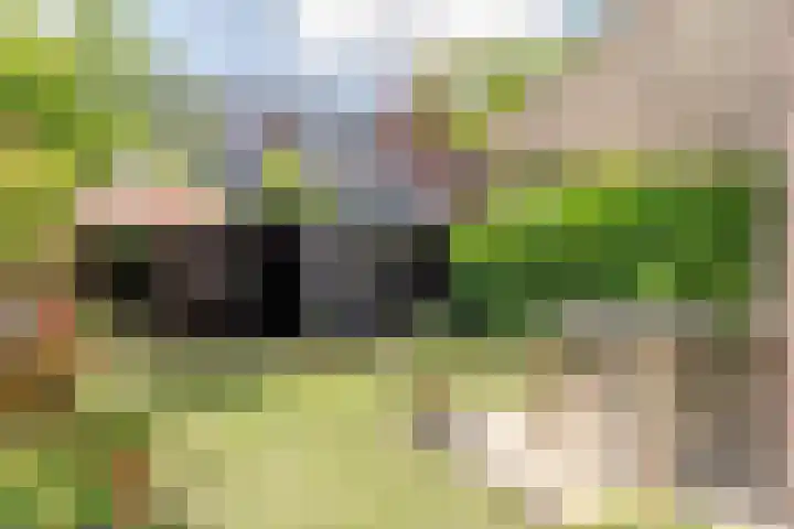 Schouwtjeslaan 72 Haarlem thumbnail 4