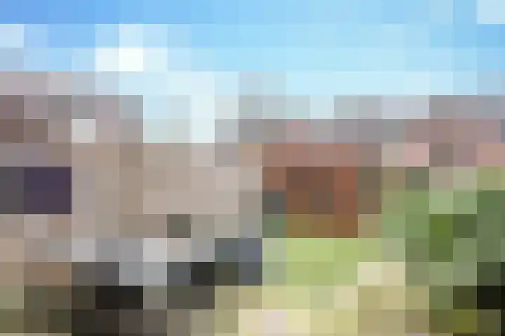 Schouwveld 7 Zeeland thumbnail 19