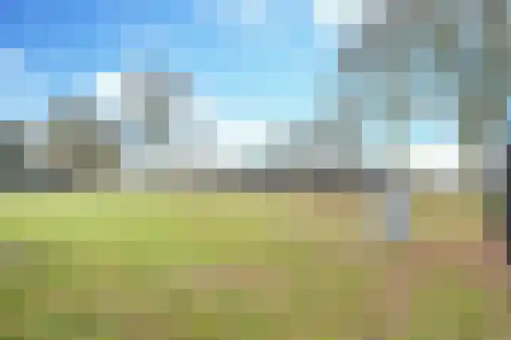 Schouwveld 7 Zeeland thumbnail 23