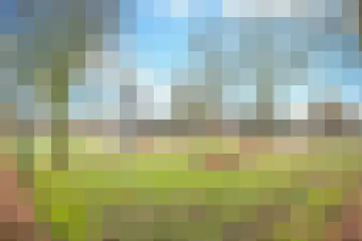 Schouwveld 7 Zeeland thumbnail 24