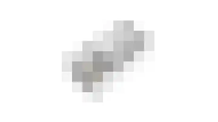 Schouwveld 7 Zeeland thumbnail 35