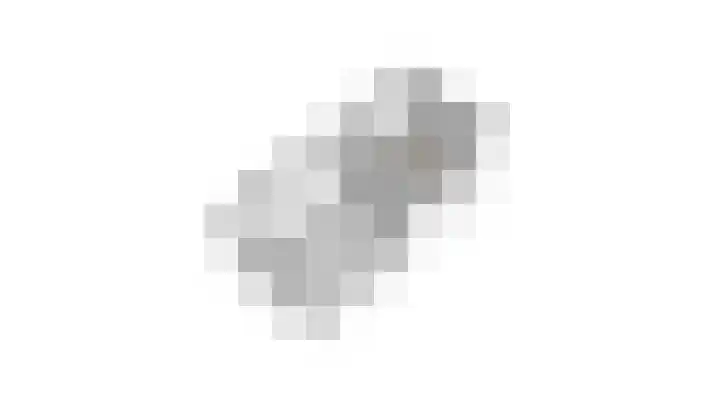 Schouwveld 7 Zeeland thumbnail 36