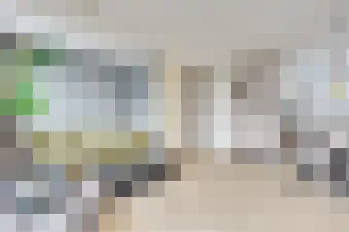 Schouwveld 7 Zeeland thumbnail 8