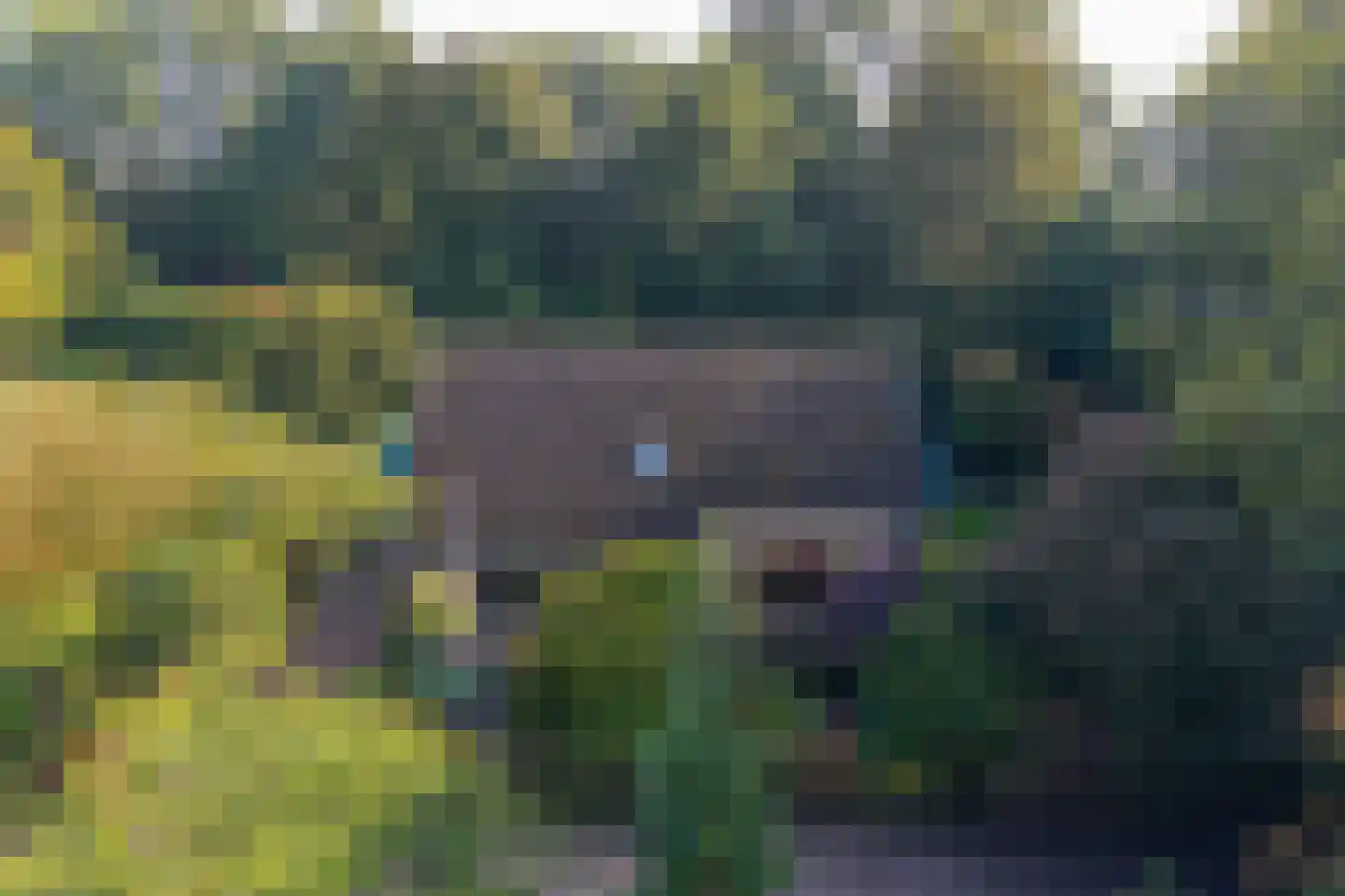 Schouwwagen 45 Grootebroek thumbnail 62