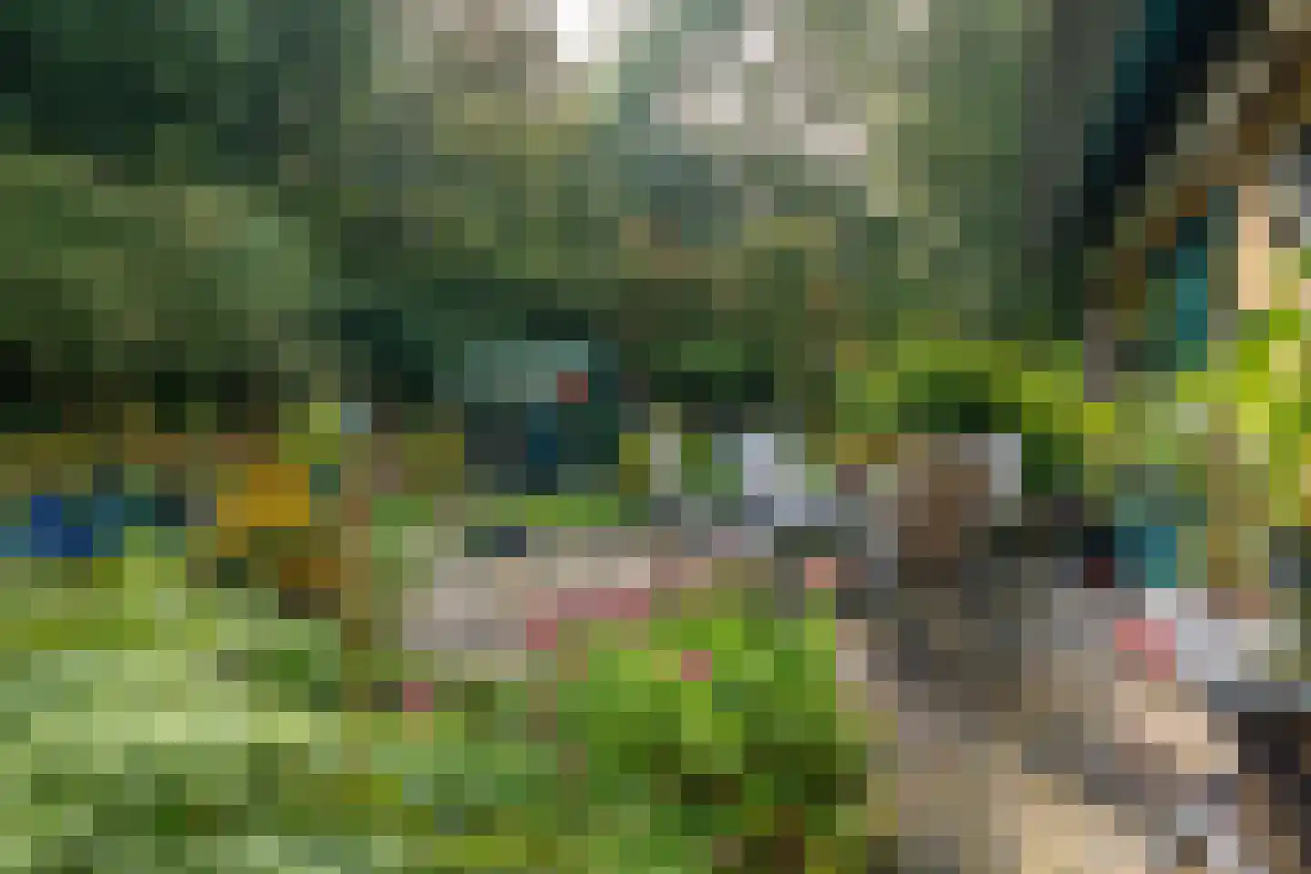 Schouwwagen 45 Grootebroek thumbnail 63