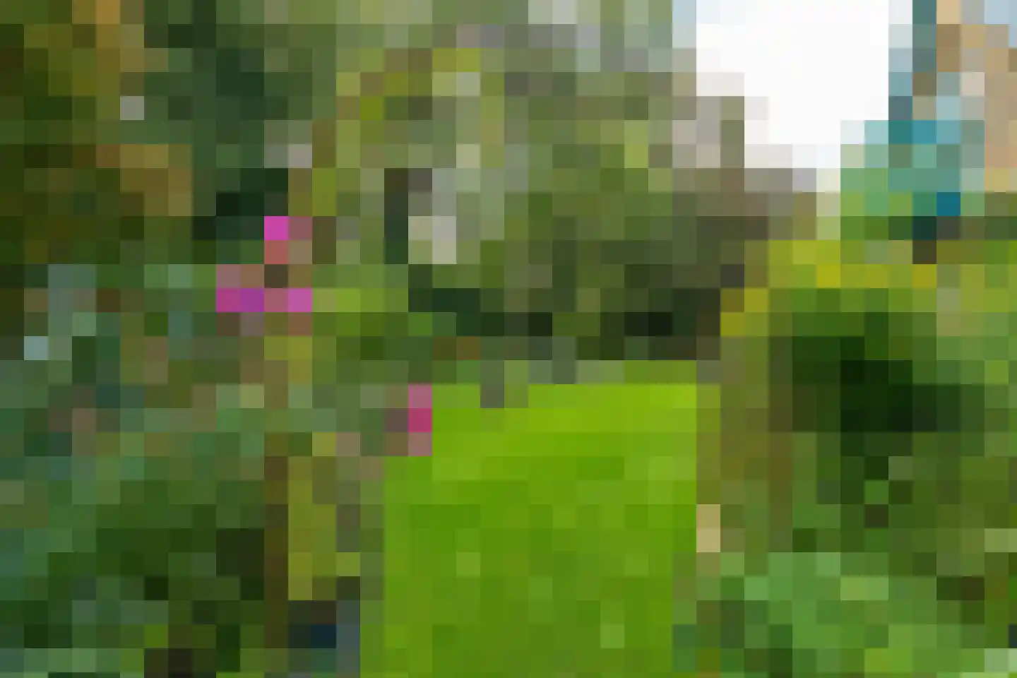 Schouwwagen 45 Grootebroek thumbnail 68