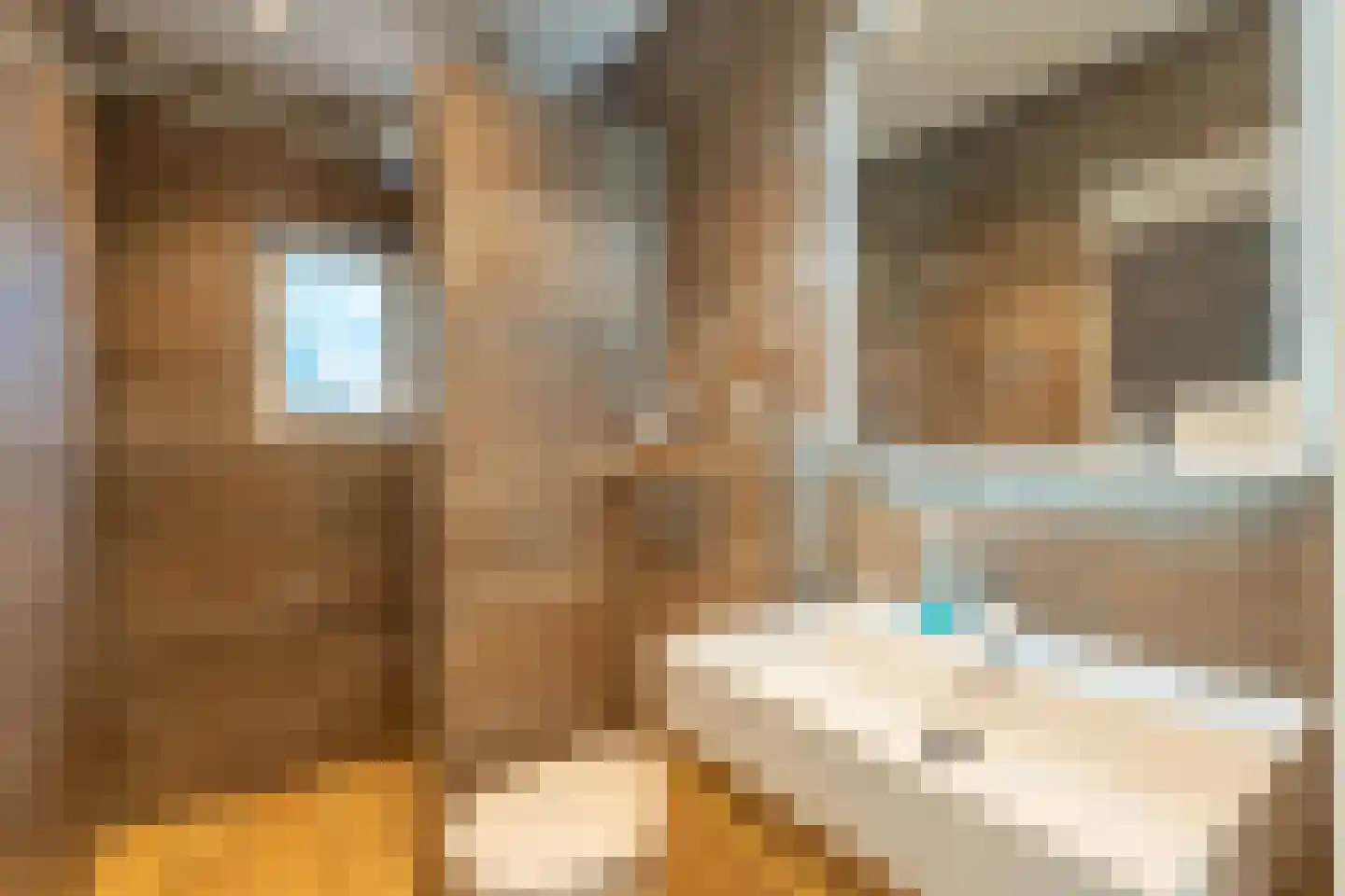 Schouwwagen 65 Grootebroek thumbnail 34