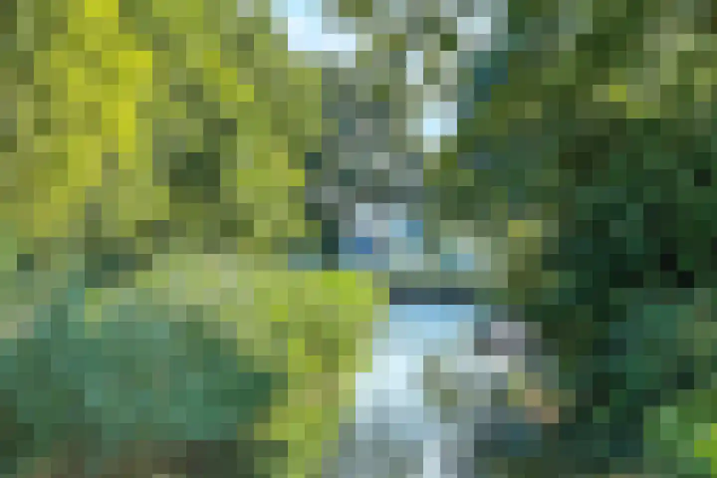 Schouwwagen 65 Grootebroek thumbnail 65