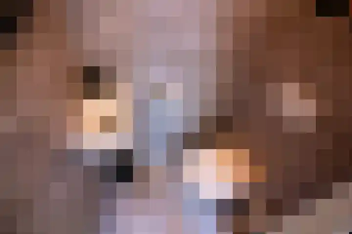 Schouwwagen 7 Grootebroek thumbnail 12