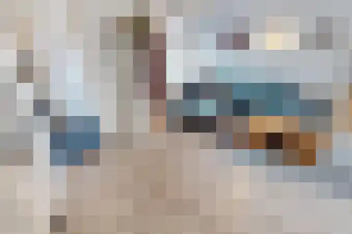 Schouwwagen 7 Grootebroek thumbnail 13