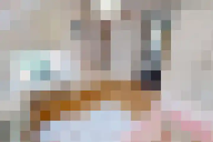 Schouwwagen 7 Grootebroek thumbnail 32