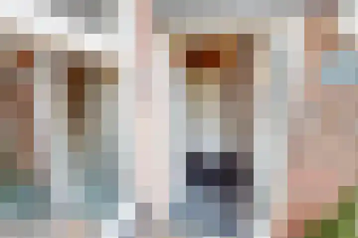 Schouwwagen 7 Grootebroek thumbnail 8