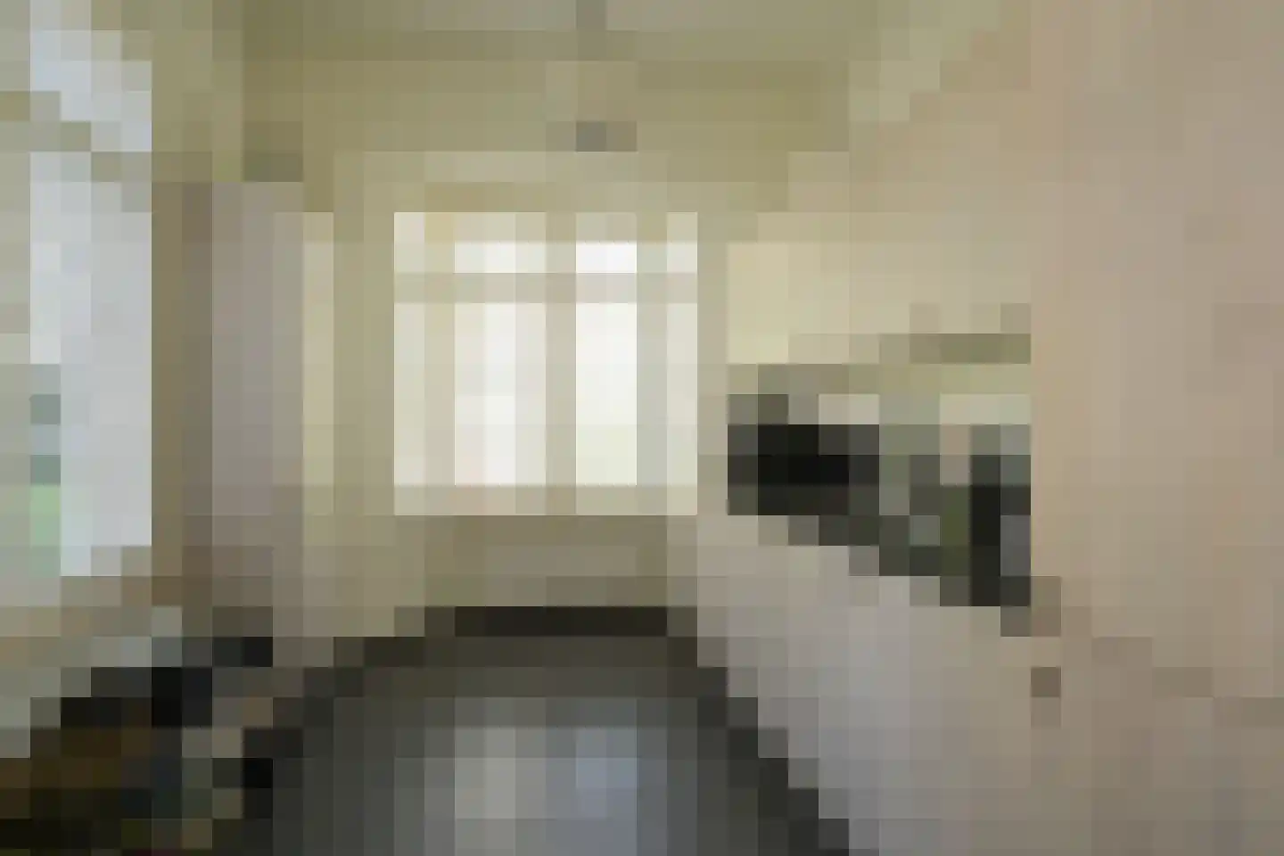 Schouwweg 107 Wassenaar thumbnail 16