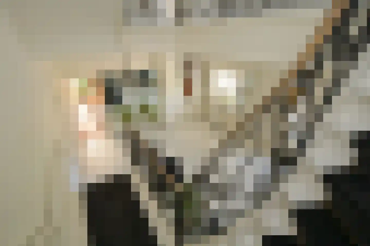 Schouwweg 107 Wassenaar thumbnail 18
