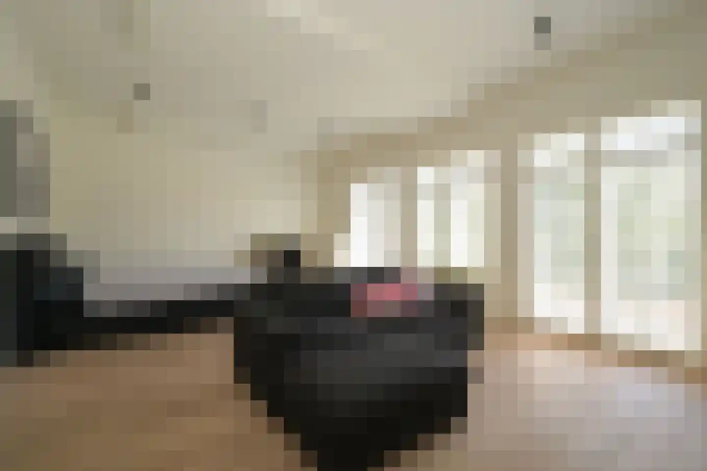 Schouwweg 107 Wassenaar thumbnail 20