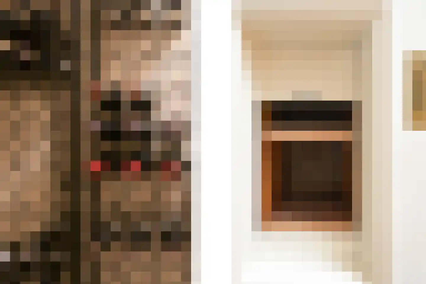 Schouwweg 107 Wassenaar thumbnail 37