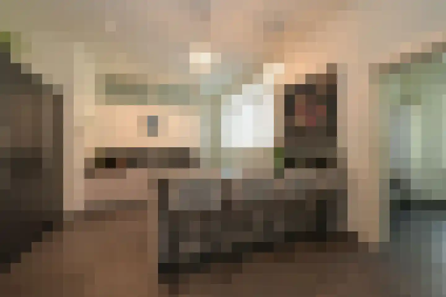 Schouwweg 107 Wassenaar thumbnail 4