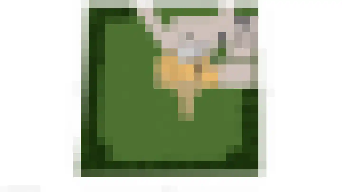 Schouwweg 107 Wassenaar thumbnail 40
