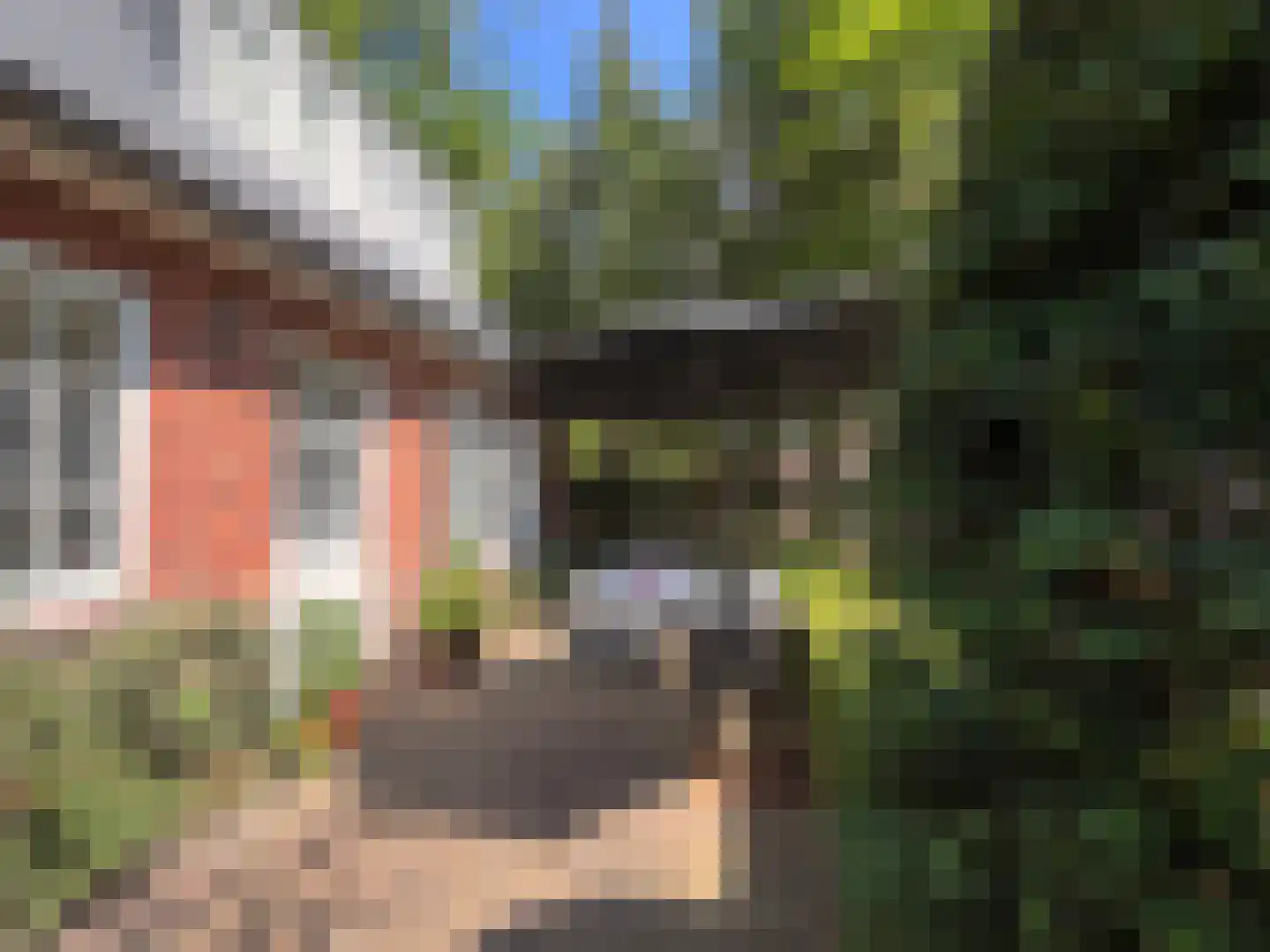 Schouwweg 107 Wassenaar thumbnail 41