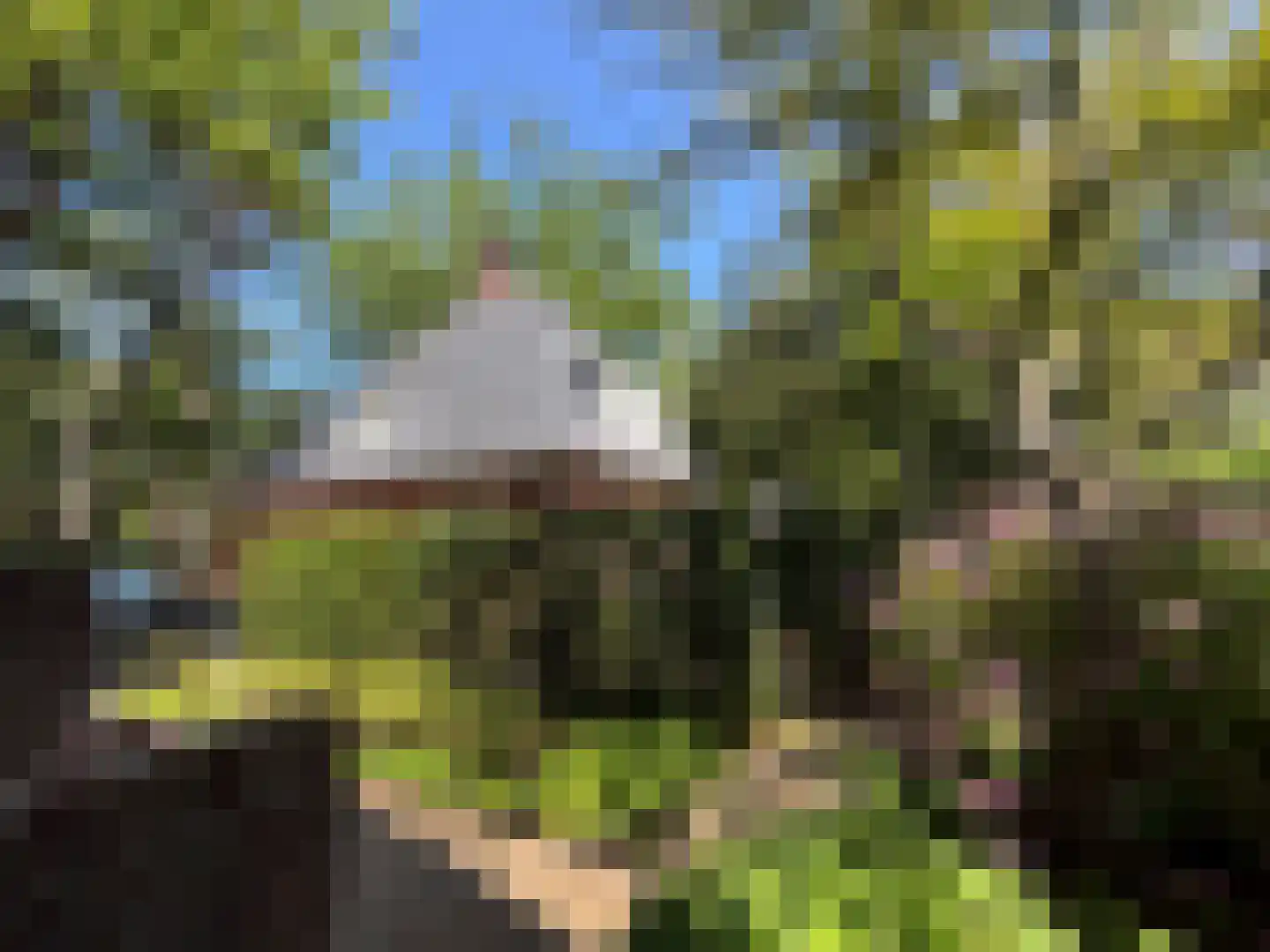 Schouwweg 107 Wassenaar thumbnail 42