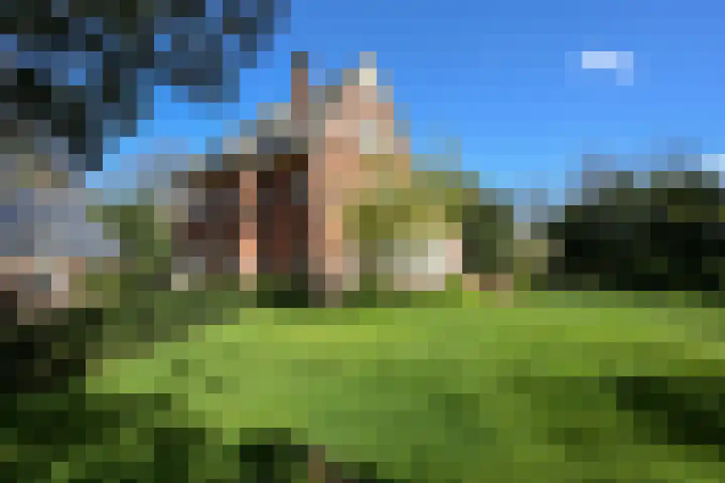 Schouwweg 107 Wassenaar thumbnail 7