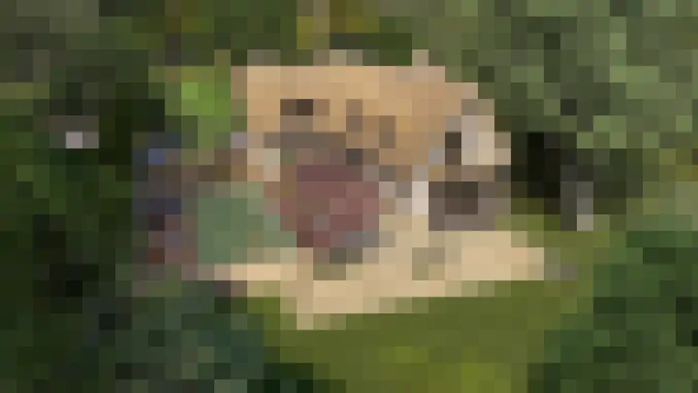 Schouwweg 65 A Wassenaar thumbnail 4