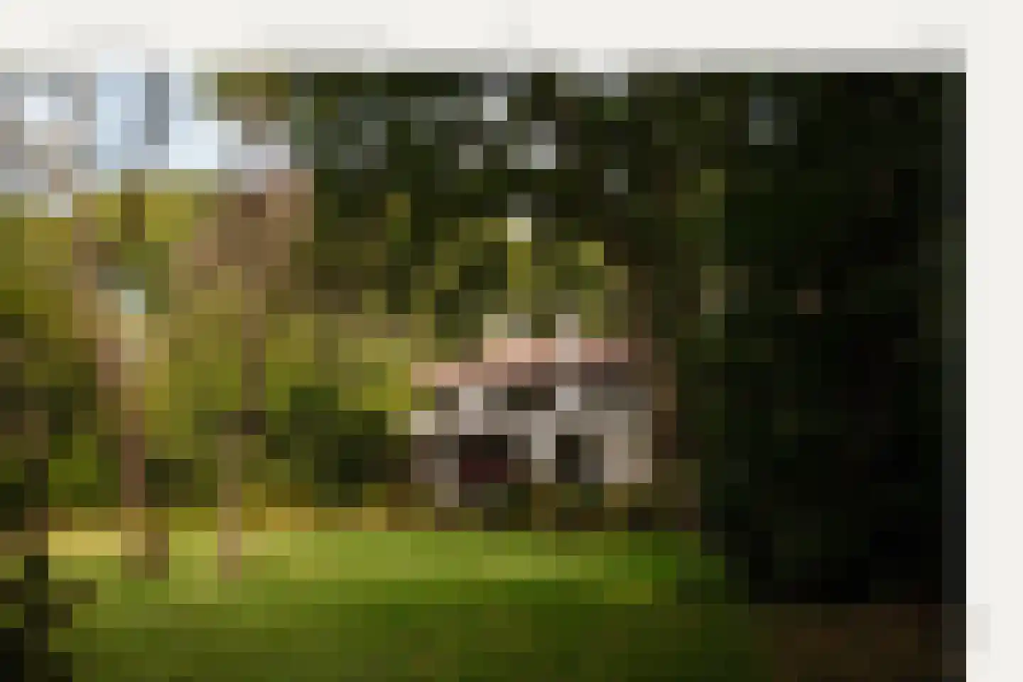 Schouwweg 65 A Wassenaar thumbnail 6