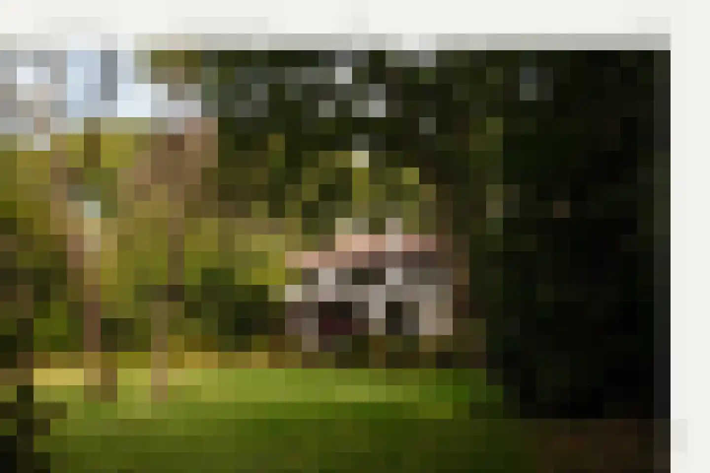 Schouwweg 65 A Wassenaar thumbnail 6