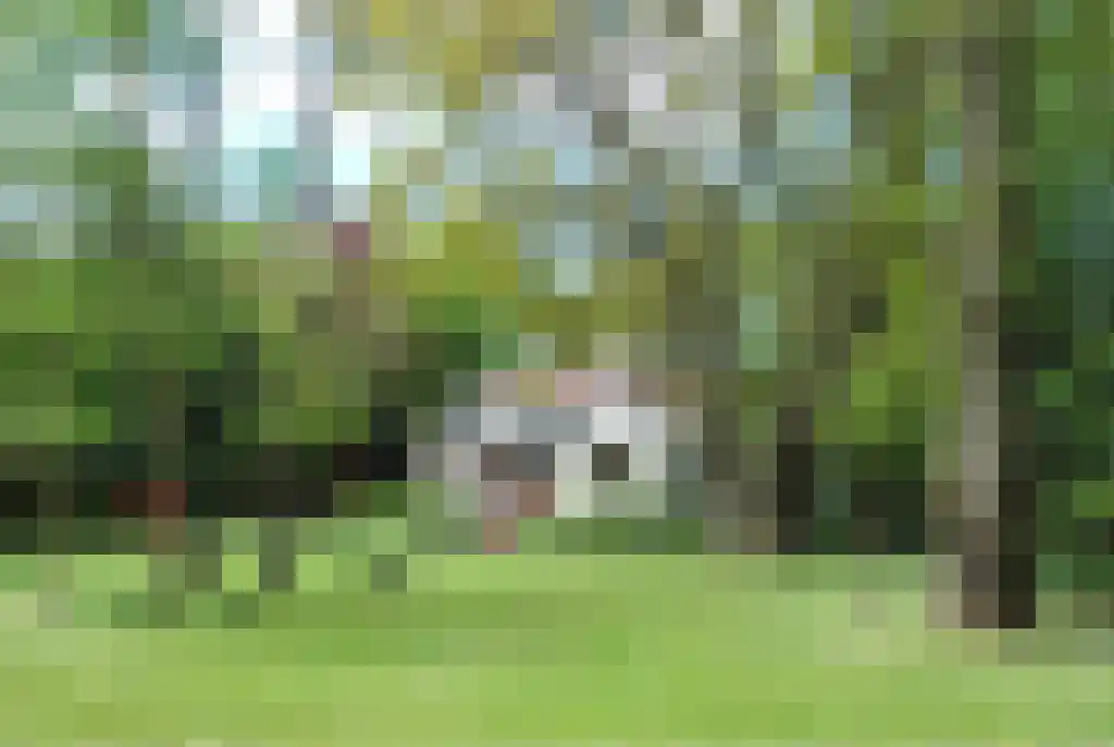 Schouwweg 65 A Wassenaar thumbnail 7