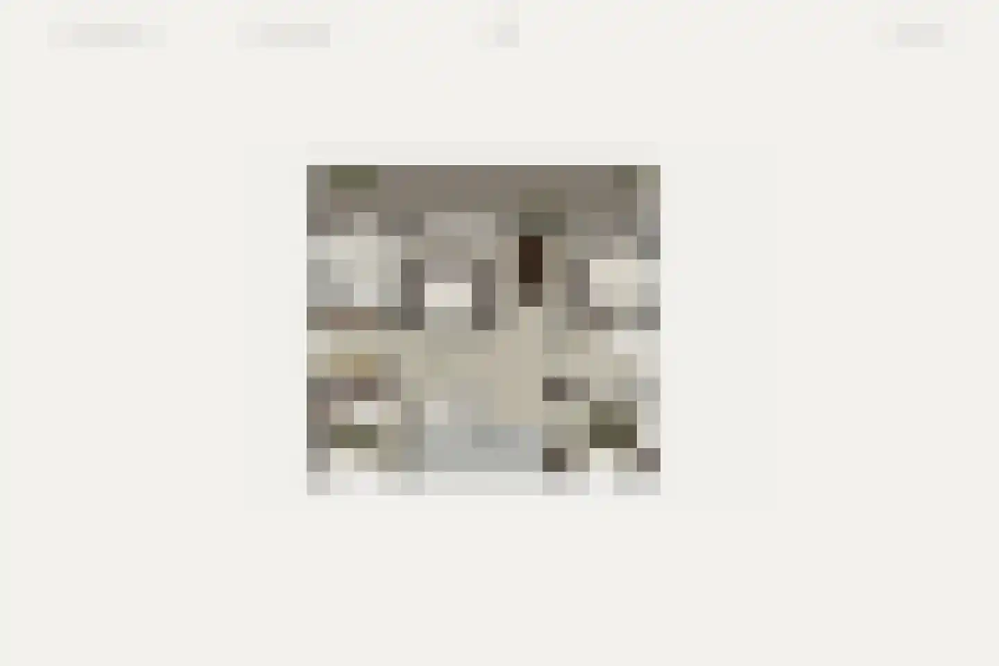 Schouwweg 65 A Wassenaar thumbnail 8