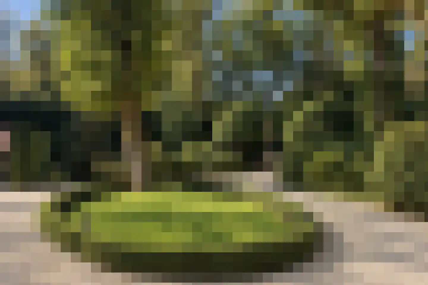 Schouwweg 65 Wassenaar thumbnail 11