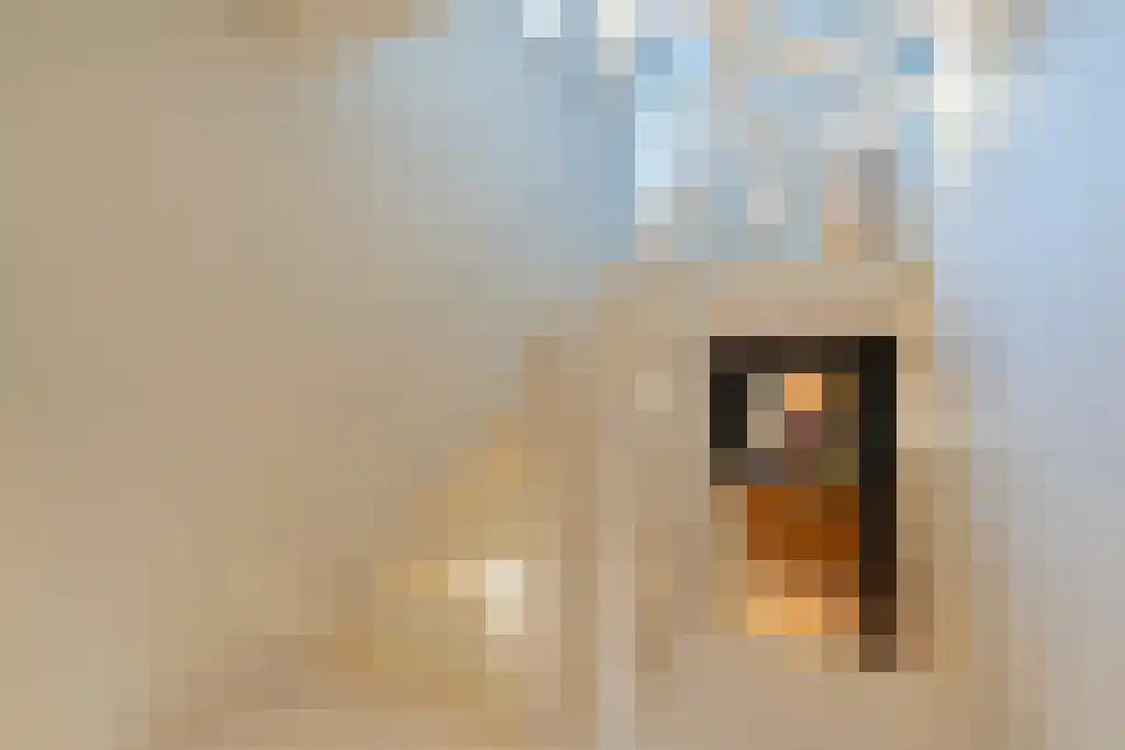 Schouwweg 65 Wassenaar thumbnail 21