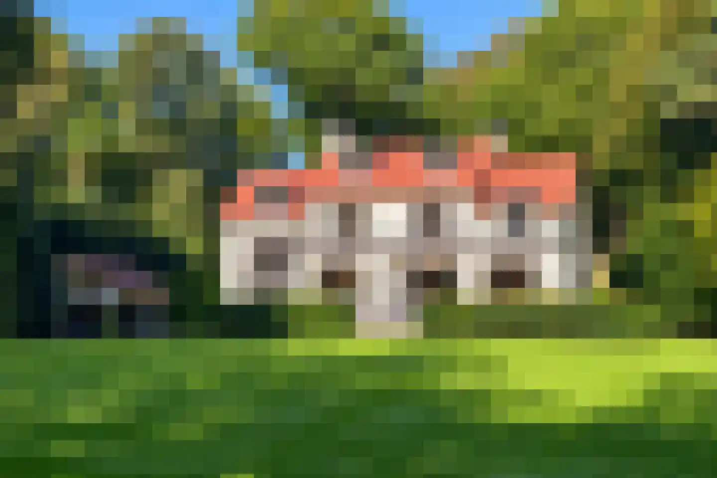 Schouwweg 65 Wassenaar thumbnail 34