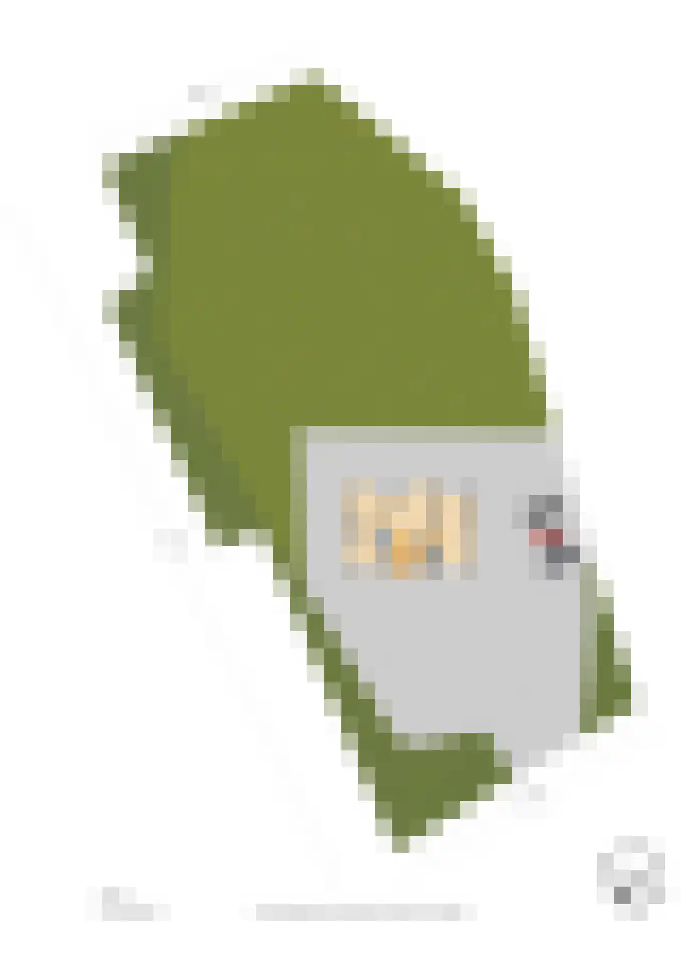 Schouwweg 65 Wassenaar thumbnail 39