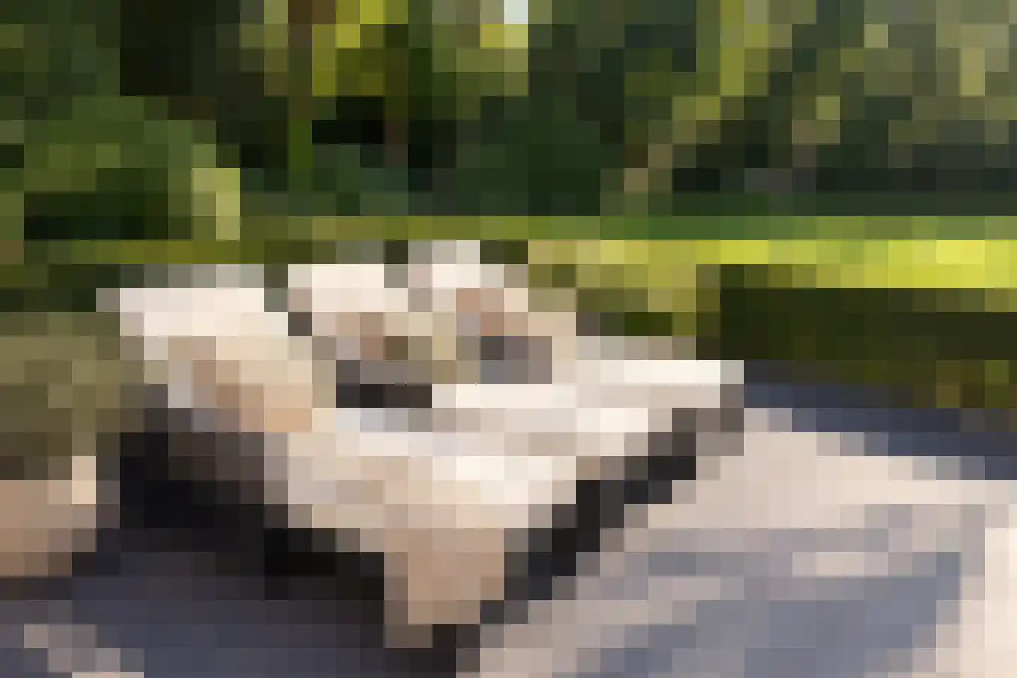 Schouwweg 65 Wassenaar thumbnail 8