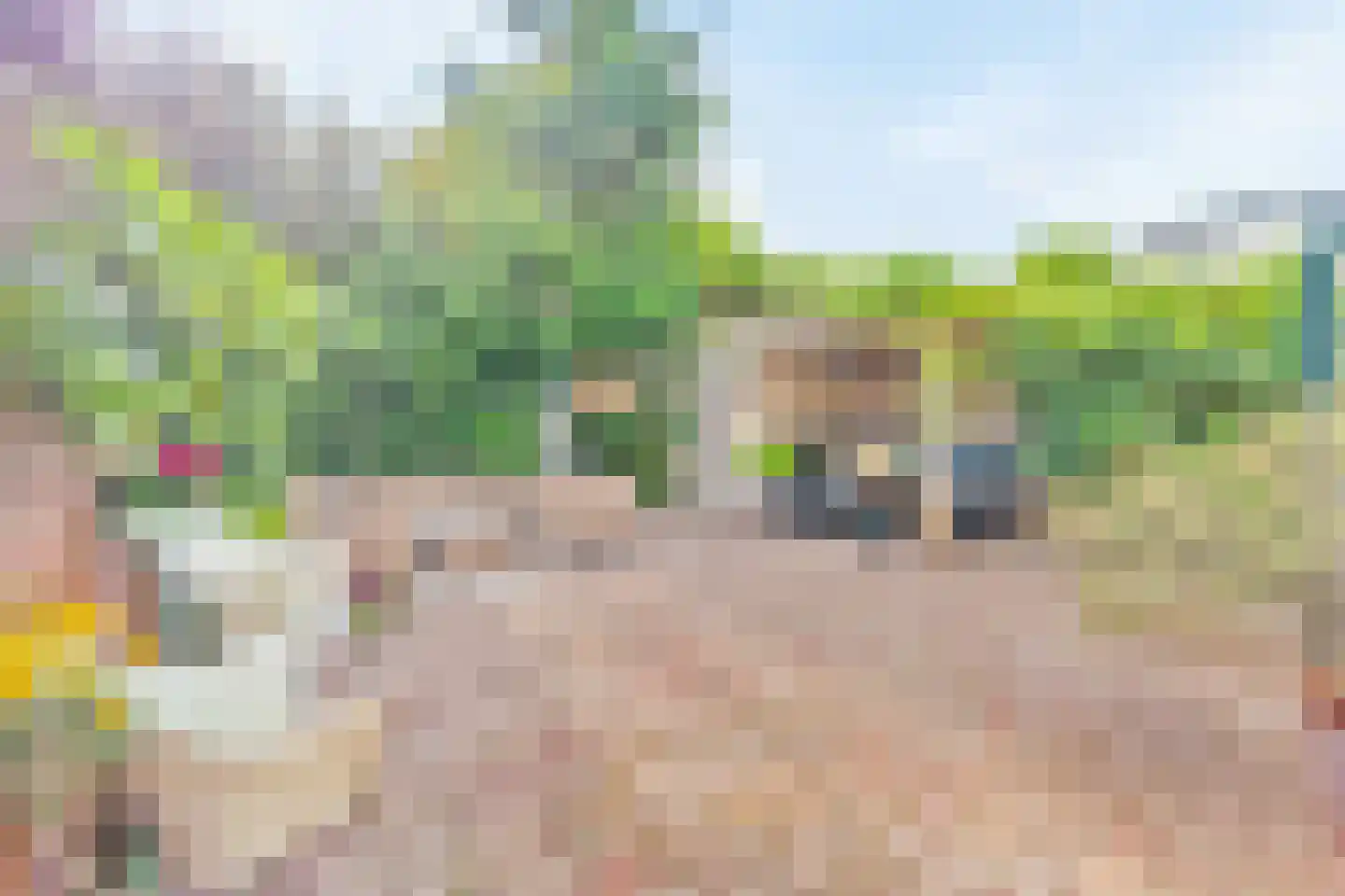 Schouwweg 8 Wassenaar thumbnail 10