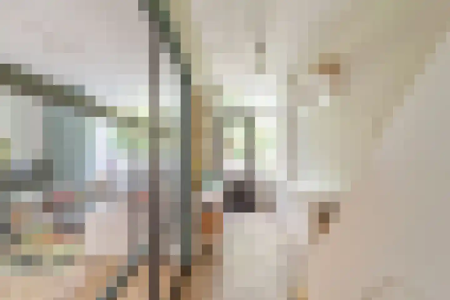 Schouwweg 8 Wassenaar thumbnail 17